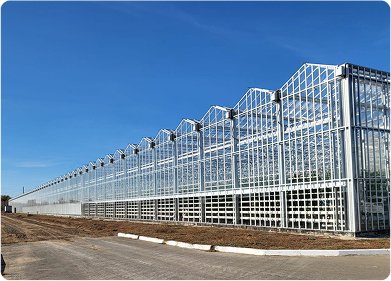 Тепличный комплекс