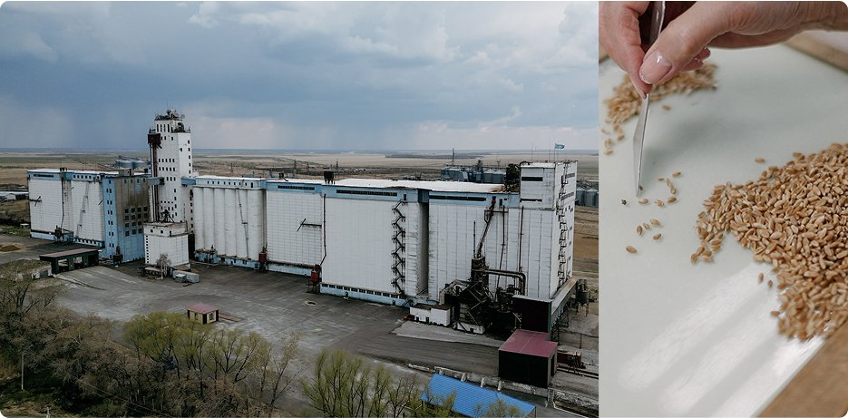 Смирновский элеватор